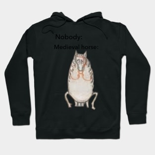 Medieval Horse Nobody Meme Hoodie